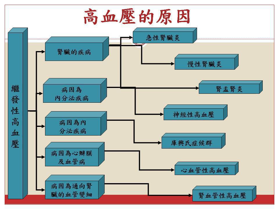 健康檢查說明會(了解各項健康檢查指標的意義) 0kEZ@