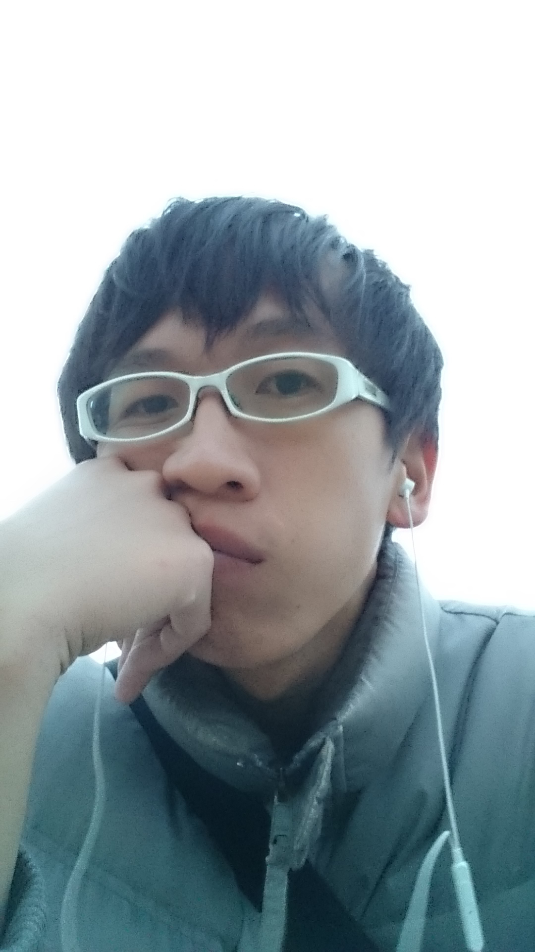 向日葵