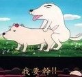 肚