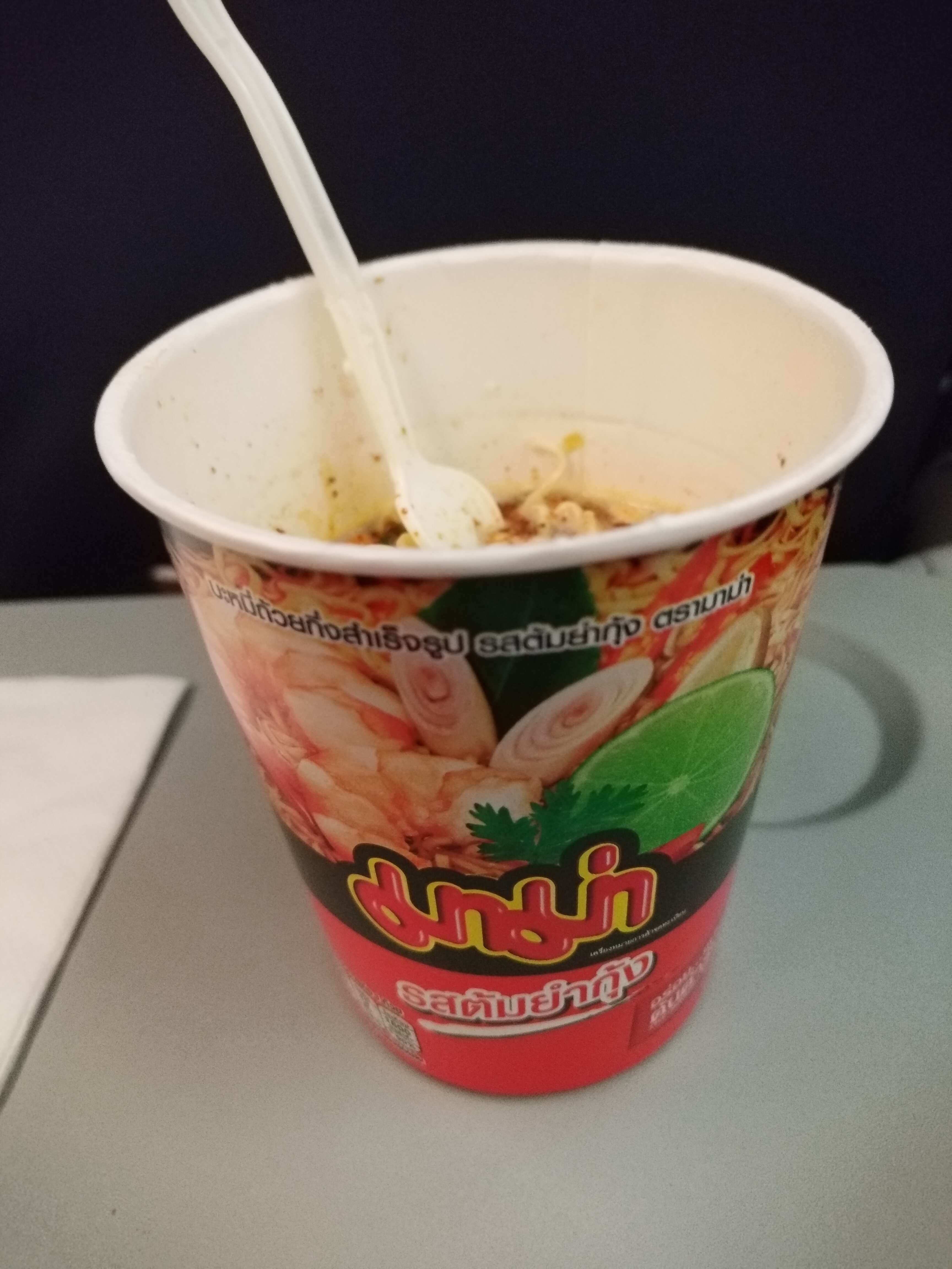 Dec. 21, 2024 泰獅航 SL395 NRT-TP Dec. 21, 2024 泰獅航 SL395 NRT-TP